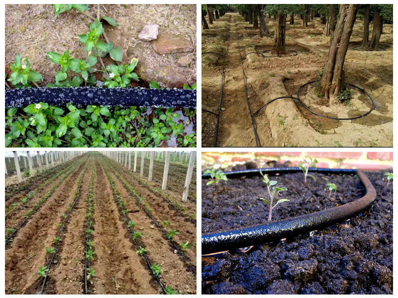 Miten kumiletkua käytetään kasteluun?